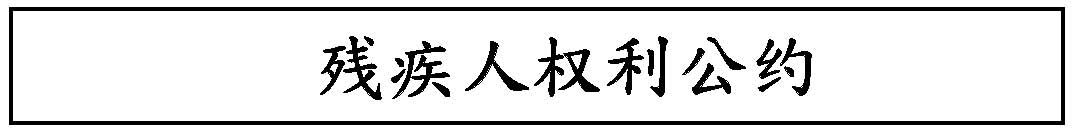残疾人权利公约